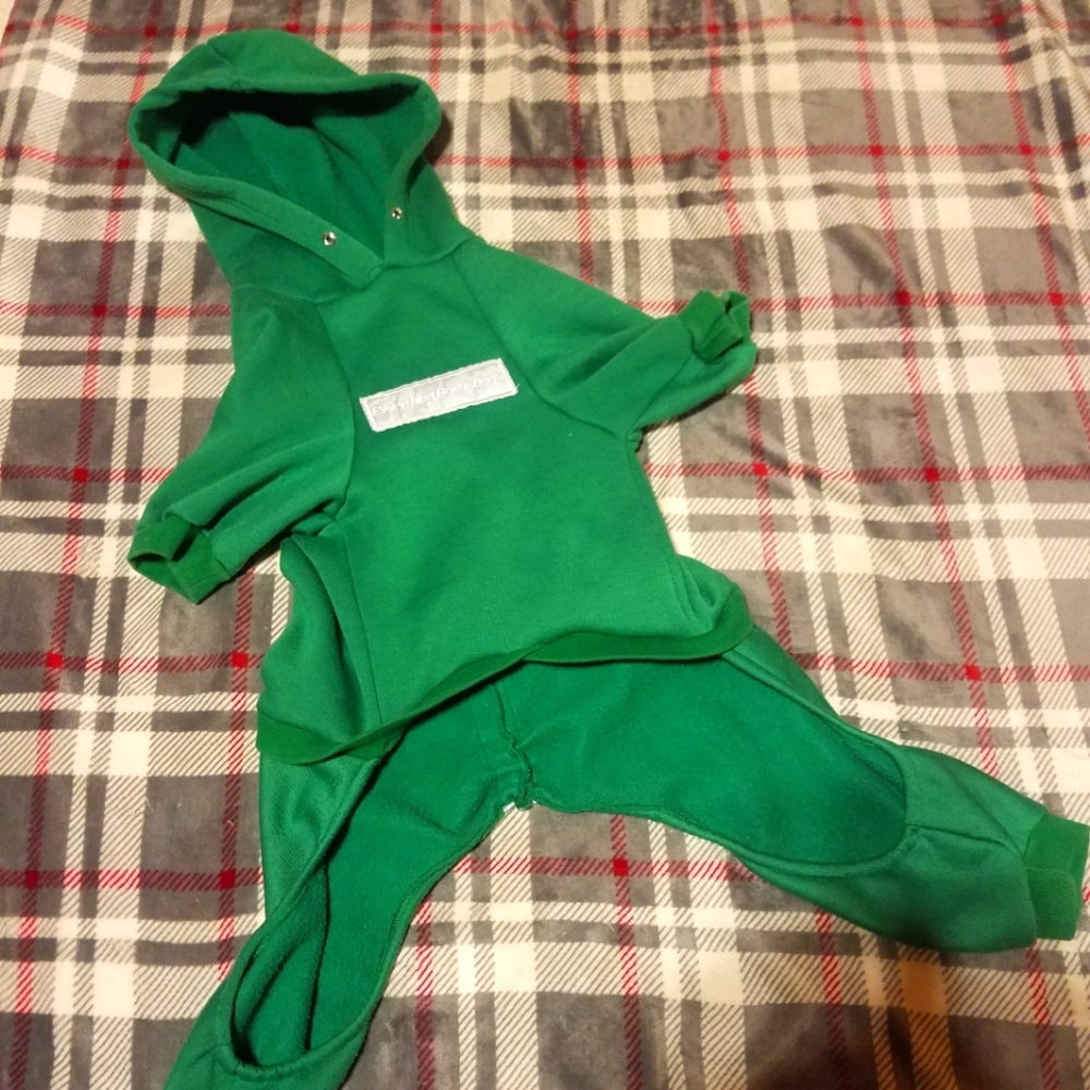 Everything Boxer Dogs green sweat suit